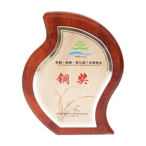 Награда -  форма КАПКА (дървена основа)